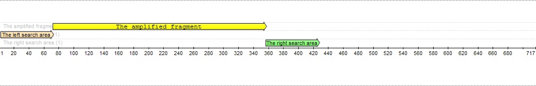 Search regions and amplified fragment.